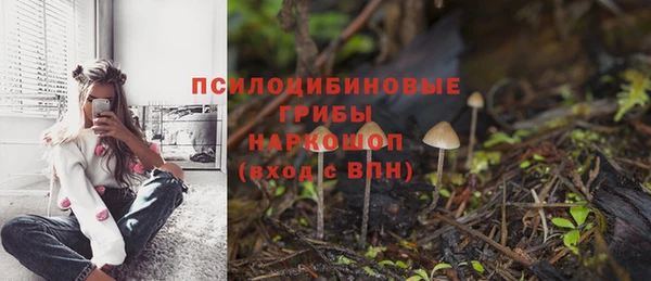 PSILOCYBIN Козельск